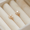 Rose Gold Sunburst Crystal Stud Earrings - Putstyle